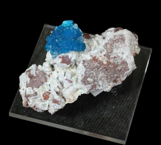 Vibrant Blue Cavansite & Calcite on Stilbite - India #62870